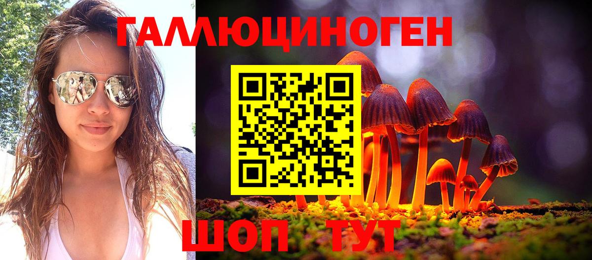 Галлюциногенные грибы Psilocybe Выборг