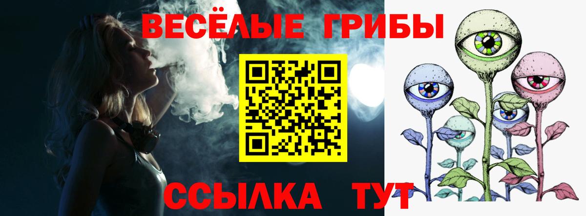 Псилоцибиновые грибы Psilocybe  Вход с VPN  Галлюциногенные грибы GOLDEN TEACHER  Выборг 